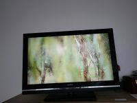 Sony Fernseher 37 Zoll 94 cm diagonal Niedersachsen - Stuhr Vorschau