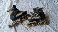 Ultra Wheels Inliner 42  inline skates Baden-Württemberg - Neukirch Vorschau