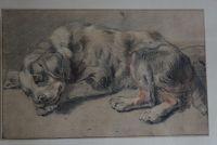 Alte Lithographie "SCHLAFENDER HUND" Frans Snijders Hessen - Gelnhausen Vorschau