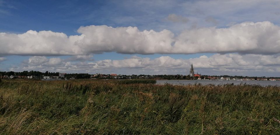 Schlei / Ostsee Region Ferienwohnung Föhr "F" für 2-4 Personen in Taarstedt