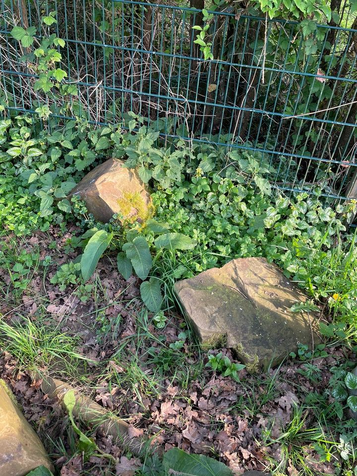 Findling, sehr große Bruchsteine  Garten Feuerstelle in Ruppichteroth