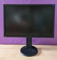 EIZO EV2436 Monitor Full HD 24" Hessen - Groß-Gerau Vorschau