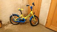 FALTER FX 100 16 Zoll, Kinderfahrrad, Wave neon yellow-anthracite Dresden - Prohlis-Nord Vorschau