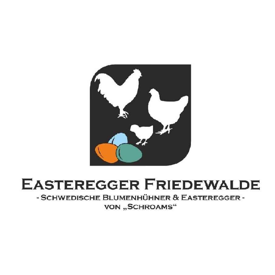 VORANKÜNDIGUNG ! Grünleger / Easteregger Küken ab dem 22.06.2023 in Petershagen