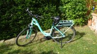 E-Bike Pegasus Modell Solero E7R HS-11 C   2 Stück Top Zustand Sachsen-Anhalt - Dessau-Roßlau Vorschau