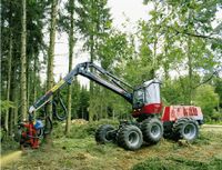 Baumfällung,Wald-/Baum-Ernte-Maschine, Harvester, Forstarbeiten Nordrhein-Westfalen - Warburg Vorschau