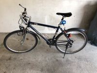 Fahrrad Terra Fox Sachsen - Frauenstein Vorschau