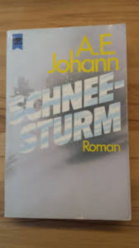 A. E. Johann - Schneesturm - Roman in Dülmen