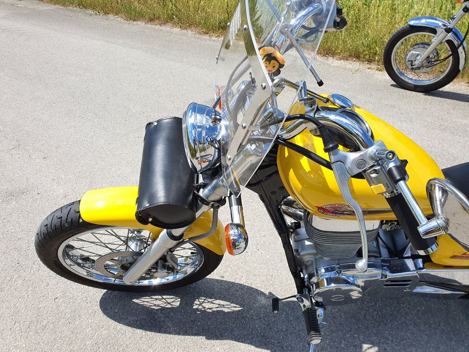 Suzuki LS 650 Savage in Landshut