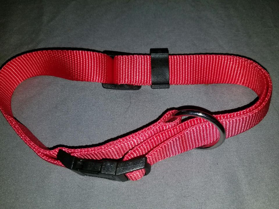 Rotes Halsband für mittelgroße Hunde in Oldenburg