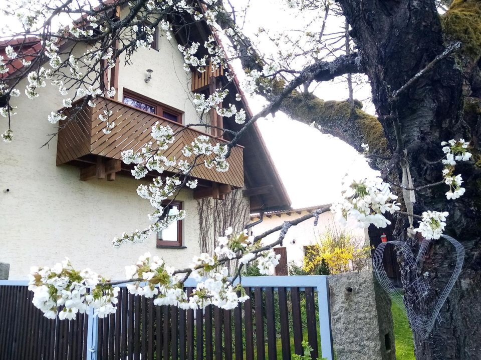 4-Sterne Ferienhaus 125 qm - Urlaub im Fichtelgebirge ❤️ in Hohenberg a.d. Eger