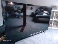 Fernseher Medion 55 Zoll, 138,5  cm Diagonale Essen - Frillendorf Vorschau