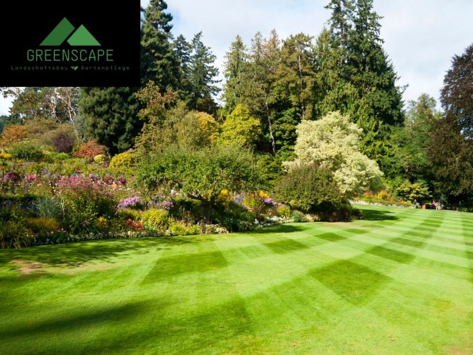 Gartenpflege / Gartenarbeit / Rasenpflege in Maulbronn