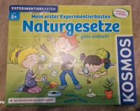 Kosmos Mein erster Experimentierkasten Naturgesetze Hamburg - Altona Vorschau