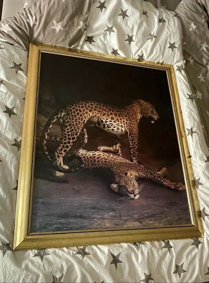 Leoparden-Wandbild mit goldenem Holzrahmen in Celle