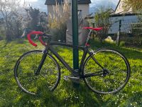 Carbon Rennrad RH 49 Campagnolo Centaur Hessen - Hochheim am Main Vorschau