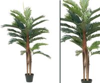 Kentia Palme mit 3 Palmfaserstämme Höhe ca. 120cm #82509457A Bayern - Jettenbach Vorschau