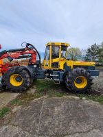 Welte W230  Skidder Niedersachsen - Tülau Vorschau