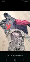 Pullover Set Gr.128, 5€ Maisborn Rheinland-Pfalz - Boppard Vorschau