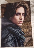 Autogramm Timothée Chalamet 13x18 cm Goto signiert Berlin - Mitte Vorschau