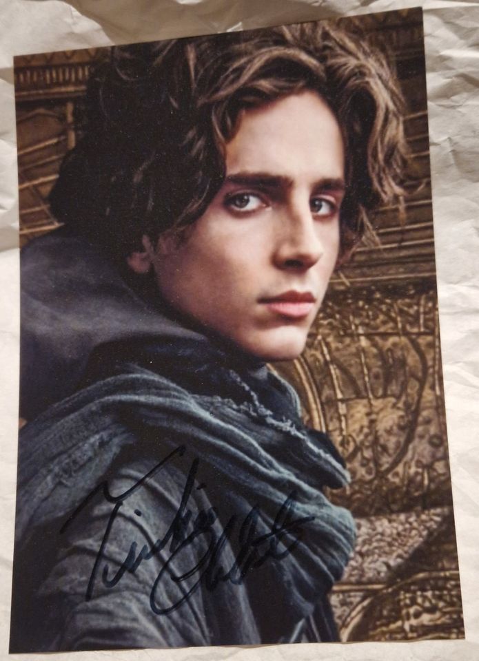 Autogramm Timothée Chalamet 13x18 cm Goto signiert in Berlin