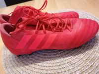 Adidas Fußballschuhe Nemeziz  neu 42,5 Rheinland-Pfalz - Schönborn (Hunsrück) Vorschau