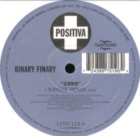 Suche Vinyl ~ KayCee Remix „1999“ von Binary Finary Sachsen-Anhalt - Tangermünde Vorschau