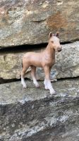 Schleich Pferd Fohlen Sachsen - Wiesa Vorschau