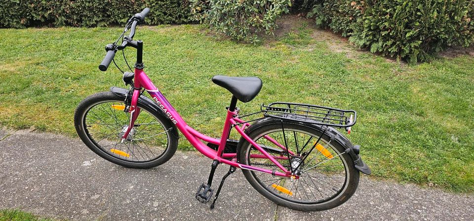 24 Zoll Mädchenfahrrad Pegasus in Schleife (Ort)