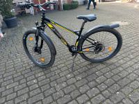Fahrrad,  Mountainbike, 29 Zoll Niedersachsen - Sittensen Vorschau