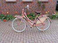 Holland Rad Spirit pink rosa Niedersachsen - Bispingen Vorschau
