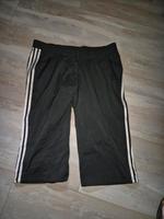 Adidas Sporthose 3/4 Shorts Gr 46 XL Climalite Niedersachsen - Ihlow Vorschau