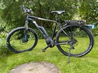 E Mountainbike Bulls 29‘ XL 56 cm 9 Gang 500 Watt Bayern - Lappersdorf Vorschau