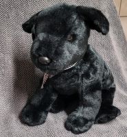 Ty Beanie Babies Labrador Luke Hund 2001 Hessen - Weilburg Vorschau