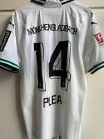 Borussia Mönchengladbach Spielertrikot Alassane Plea (signiert) Rheinland-Pfalz - Sörgenloch Vorschau