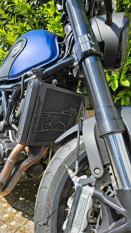 Benelli Leoncino 500 in Lengede