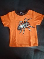 T-Shirt H&M 92 Spinne Spider Sachsen - Plauen Vorschau