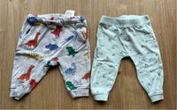 2 Hosen Baby 68 H&M mint Dino Fische maritim Brandenburg - Neuenhagen Vorschau