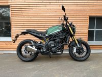 Benelli Leoncino 800 - NEU Bayern - Wiesau Vorschau