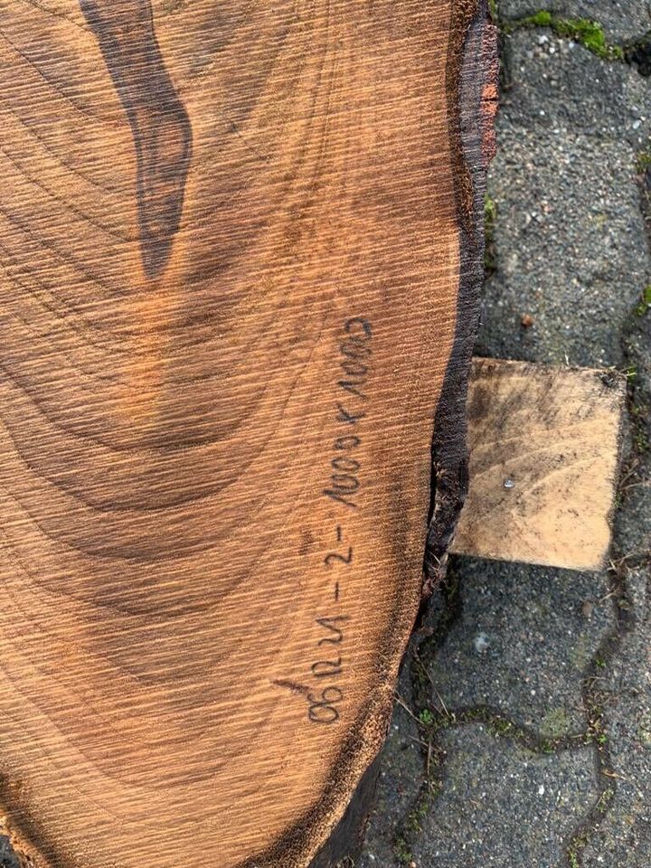 Walnussscheibe Holzbohle Tisch Baumscheibe Wandbild Stamm in Staßfurt