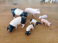 Schleich Schweine Ferkel Konvolut 7stk Hessen - Viernheim Vorschau