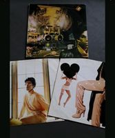 Vinyl Album - Prince Sign O' the Times - Doppelalbum Original '87 Niedersachsen - Hambühren Vorschau