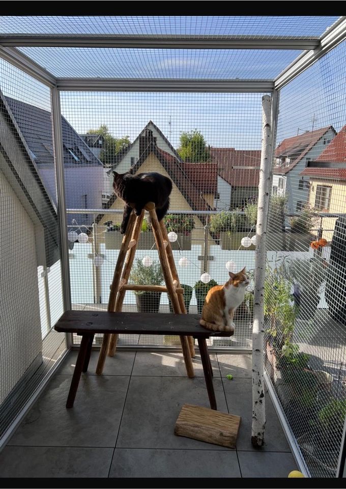 Außengehege Balkon für Katzen als Freigang in Fellbach