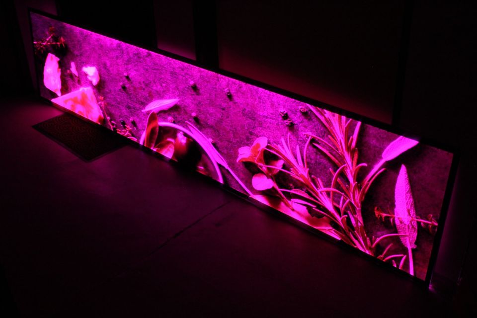 Nischenrückwand, beleuchtet, RGB, LED, Rückwand für Küche in Weßling