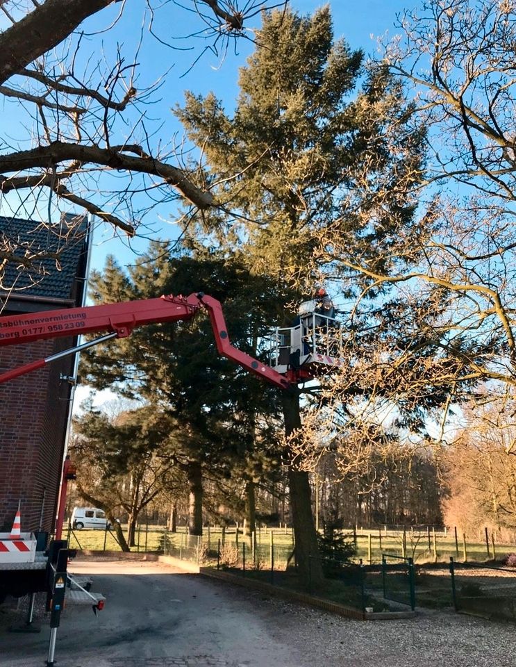 Gärtner-Gartenpflege-Heckenschnitt-Rollrasen-… in Viersen