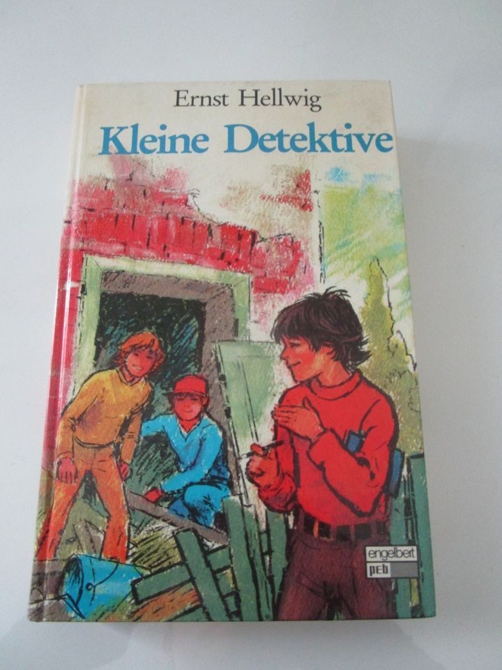 Kinderbücher Detektive z.B. Enid Blyton / TKKG in Sand a. Main