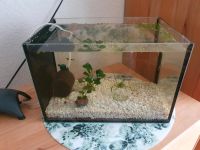 Aquarium 30 x 20 x 20 cm Baden-Württemberg - Leonberg Vorschau