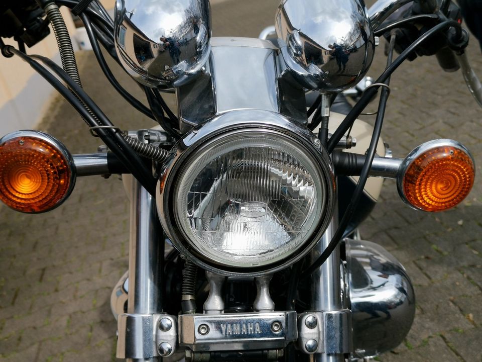 Yamaha Virago, Chopper, Motorrad, neuwertig, nur 9.000 km in Paderborn