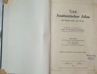 Toldt, Anatomischer Atlas für Studierende und Ärzte - 1931 Berlin - Hohenschönhausen Vorschau