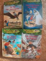4 Bücher "Das magische Baumhaus" Nordrhein-Westfalen - Stemwede Vorschau